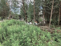 Продажа садового участка: Екатеринбург, снт. Глобус , уч. 23 (Палкинский торфяник) - Фото 4
