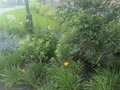 Аренда квартиры: Екатеринбург, ул. Блюхера, 89 (Пионерский) - Фото 12