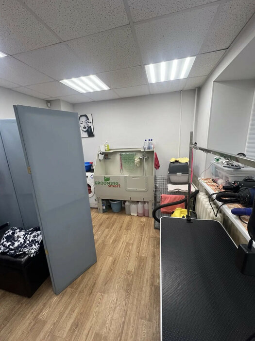 Екатеринбург, ул. Куйбышева, 84/2 (Шарташский рынок) - фото торгового помещения (7)