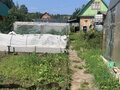 Продажа садового участка: п. Сагра, СНТ Людмила (городской округ Верхняя Пышма) - Фото 4