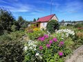 Продажа садового участка: п. Монетный, Коллективный сад № 17, уч. 20 (городской округ Березовский) - Фото 2