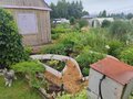 Продажа садового участка: п. Монетный, Коллективный сад № 17, уч. 20 (городской округ Березовский) - Фото 5