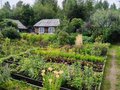 Продажа садового участка: п. Монетный, Коллективный сад № 17, уч. 20 (городской округ Березовский) - Фото 6