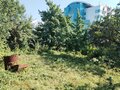 Продажа садового участка: Екатеринбург, № 2 ЗИКа, уч. 2 ЗИКа (Пионерский) - Фото 3