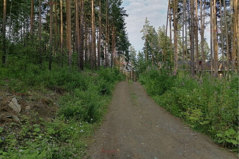 с. Кашино, городской округ Сысертский, Челябинское направление, 40км., ул.Парковая, 8 и 10 (Выберите район) - фото земельного участка (11)