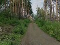 Продажа земельного участка: с. Кашино, городской округ Сысертский, Челябинское направление, 40км., ул.Парковая, 8 и 10 (Выберите район) - Фото 11