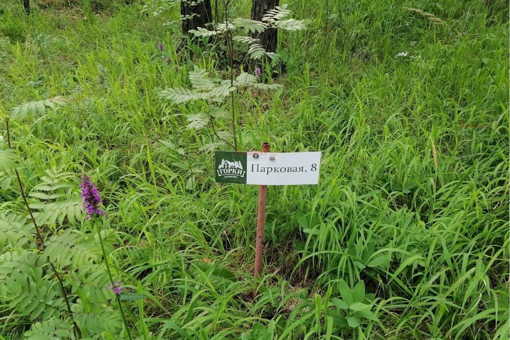 с. Кашино, городской округ Сысертский, Челябинское направление, 40км., ул.Парковая, 8 и 10 (Выберите район) - фото земельного участка (1)