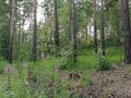 Продажа земельного участка: с. Кашино, городской округ Сысертский, Челябинское направление, 40км., ул.Парковая, 8 и 10 (Выберите район) - Фото 3
