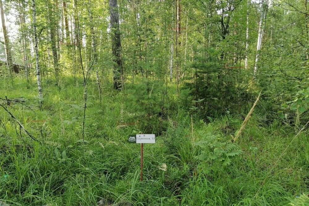 с. Кашино, городской округ Сысертский, Челябинское направление, 40км., ул.Парковая, 8 и 10 (Выберите район) - фото земельного участка (5)