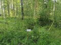 Продажа земельного участка: с. Кашино, городской округ Сысертский, Челябинское направление, 40км., ул.Парковая, 8 и 10 (Выберите район) - Фото 5