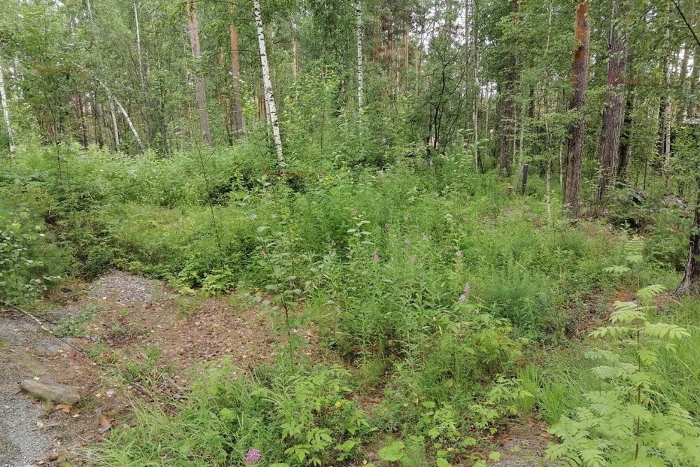 с. Кашино, городской округ Сысертский, Челябинское направление, 40км., ул.Парковая, 8 и 10 (Выберите район) - фото земельного участка (6)