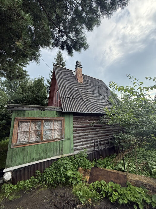 Екатеринбург, СНТ Горняк (Палкинский торфяник) - фото сада (11)