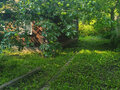 Продажа садового участка: Екатеринбург, СНТ Западный, уч. 2 - Фото 11