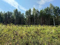 Продажа земельного участка: с. Черноусово (городской округ Белоярский) - Фото 1