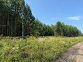Продажа земельного участка: с. Черноусово (городской округ Белоярский) - Фото 2