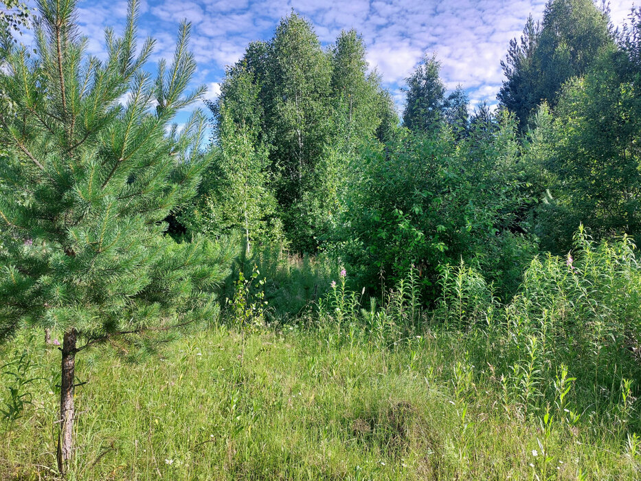 п. Залесье, ул. Демидовский,   (городской округ Верхняя Пышма) - фото земельного участка (10)
