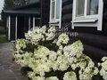 Продажа садового участка: п. Гать, СНТ № 8 УЭМ, ул. Среднеуральского лесничества Уралмашевского лесхоза, СНТ №8 (городской округ Верхняя Пышма) - Фото 10