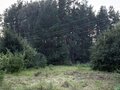 Продажа земельного участка: п. Ключевск, ул. Лесная, 14а (городской округ Березовский) - Фото 5
