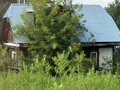 Продажа земельного участка: Екатеринбург, ул. Будденого, 13 (Полеводство) - Фото 2