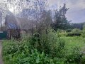 Продажа садового участка: Екатеринбург, СНТ Химмашевец (Химмаш) - Фото 2