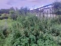 Продажа садового участка: Екатеринбург, СНТ Химмашевец (Химмаш) - Фото 4
