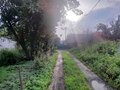 Продажа садового участка: Екатеринбург, СНТ Химмашевец (Химмаш) - Фото 6