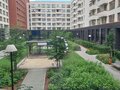 Продажа квартиры: Екатеринбург, ул. Гастелло, 16, Шишимская горка (Уктус) - Фото 4