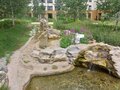 Продажа квартиры: Екатеринбург, ул. Гастелло, 16, Шишимская горка (Уктус) - Фото 5