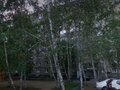 Аренда квартиры: Екатеринбург, ул. Решетникова, 3 (Юго-Западный) - Фото 2