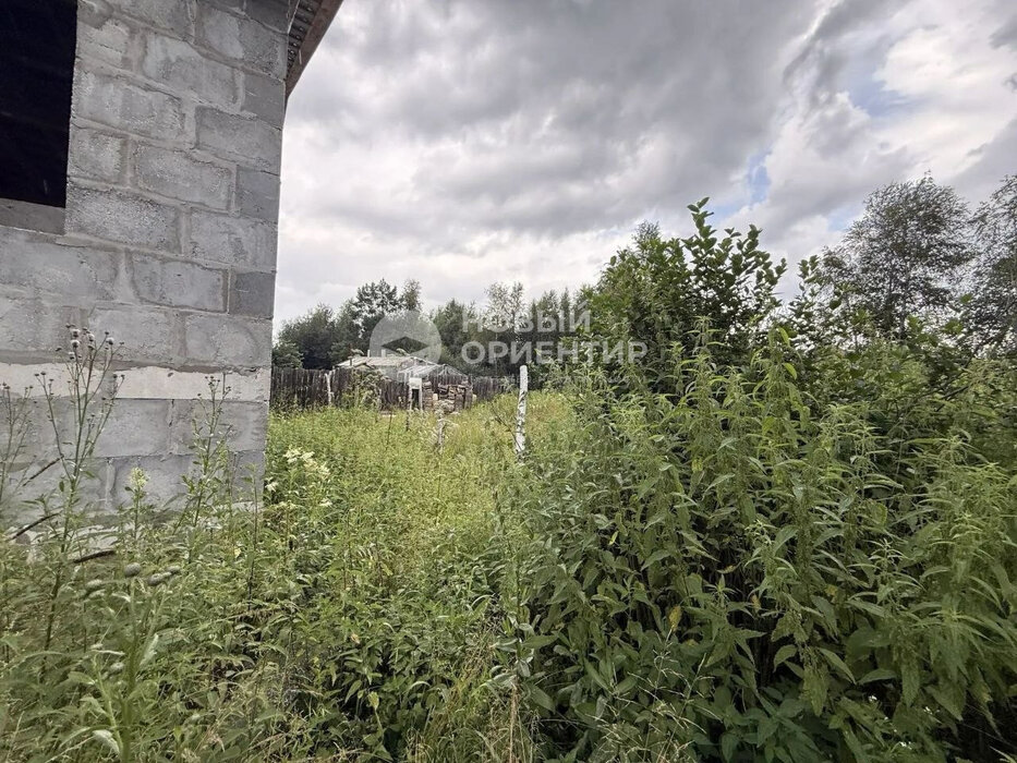 г. Березовский, СНТ Берёзовая Роща-2, уч. 151 (городской округ Березовский) - фото сада (5)