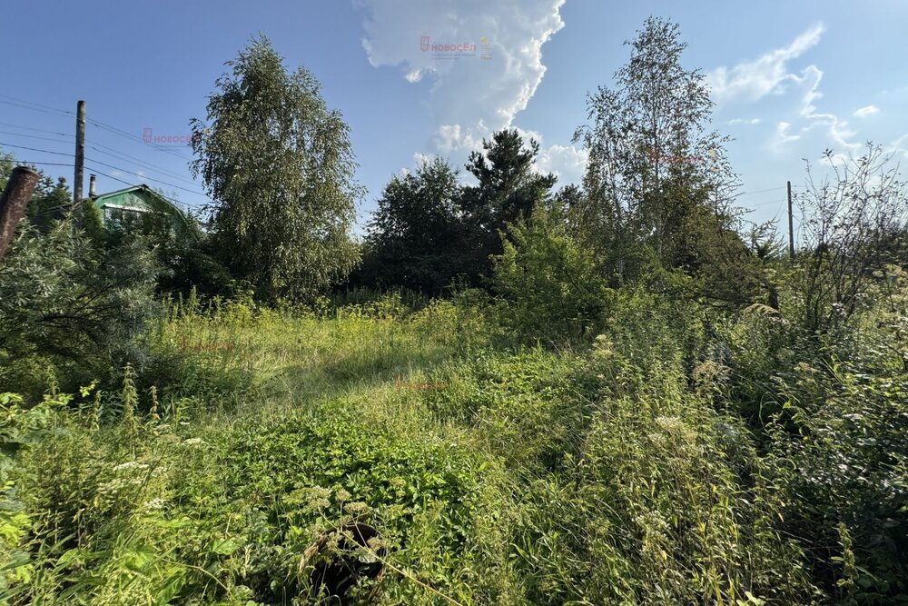 Екатеринбург, к/с Камвольщик - фото сада (3)