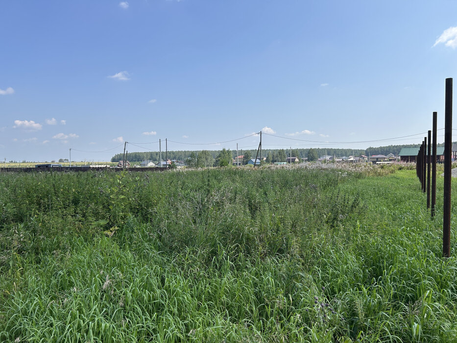 д. Гусева, ул. Окружная, 3 (городской округ Белоярский) - фото земельного участка (5)