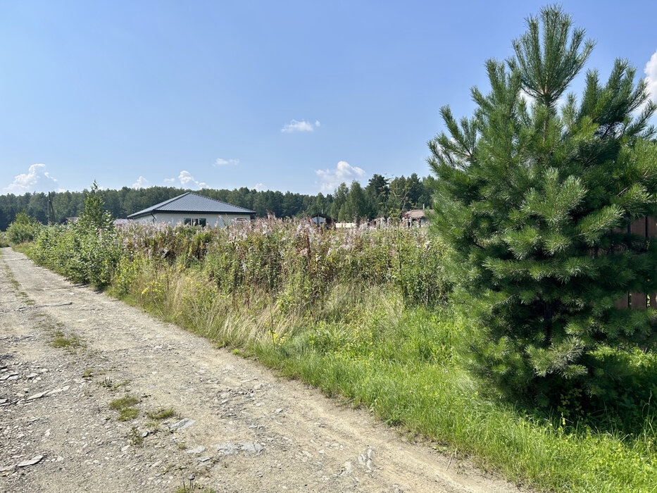 д. Гусева, ул. Окружная, 3 (городской округ Белоярский) - фото земельного участка (6)