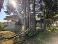 Продажа дома: с. Курьи, ул. Санаторная, 7а (городской округ  Сухой Лог) - Фото 4