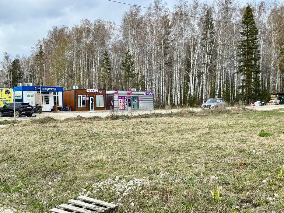 к.п. Чистые росы-2, ул. Лазурная, 19 (городской округ Белоярский) - фото земельного участка (6)