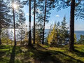 Продажа дома: д. Коптяки, ул. Исетская, 29 (городской округ Среднеуральск) - Фото 14