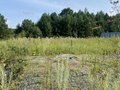 Продажа земельного участка: п. Бобровский, ул. Харитонова, 7 (городской округ Сысертский) - Фото 2