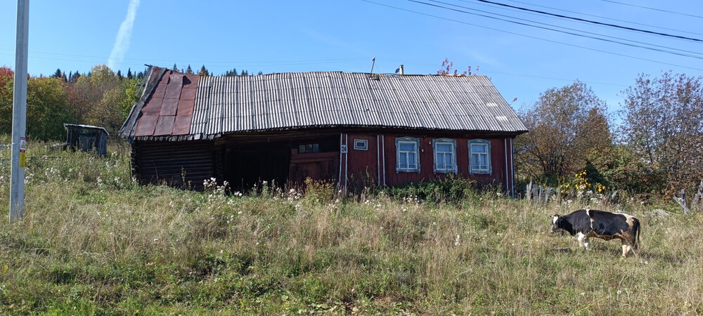 п. Шаля, ул. Урицкого (городской округ Шалинский) - фото земельного участка (3)
