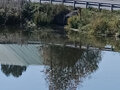 Продажа земельного участка: п. Шаля, ул. Урицкого (городской округ Шалинский) - Фото 6