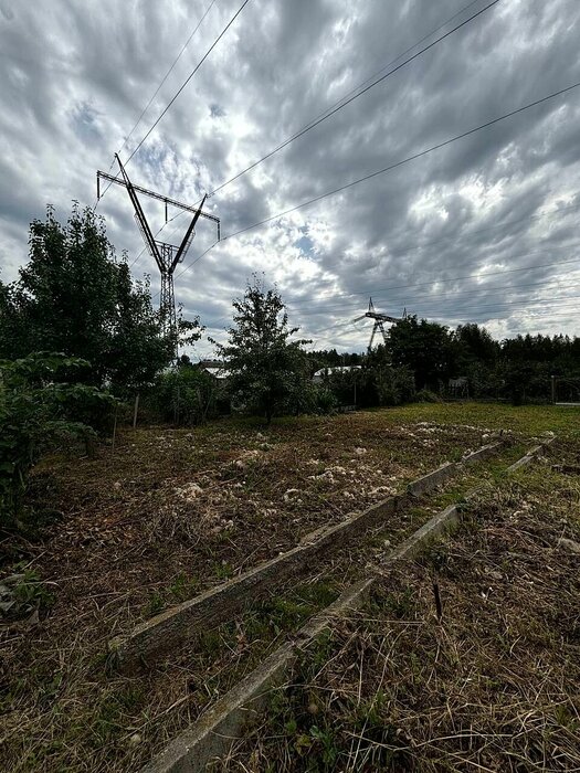 Екатеринбург, к/с Академстрой, ул. Европейская - фото сада (10)