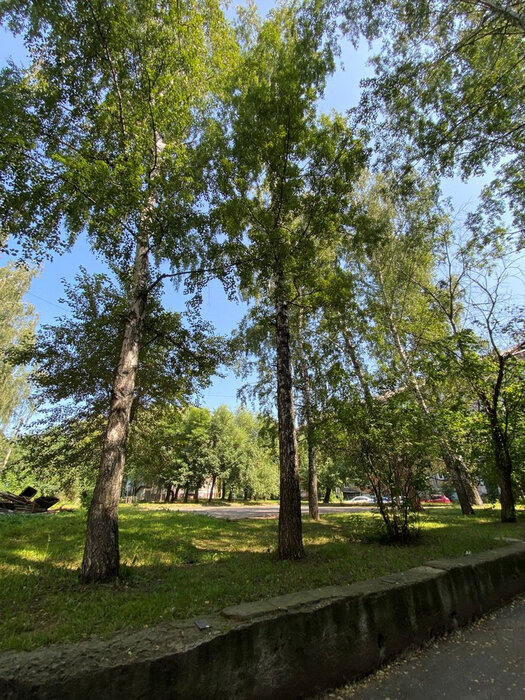 Екатеринбург, ул. Академическая, 23 (Втузгородок) - фото квартиры (12)
