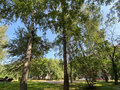 Продажа квартиры: Екатеринбург, ул. Академическая, 23 (Втузгородок) - Фото 12