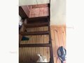 Продажа садового участка: Екатеринбург, СНТ Янтарь, уч. 100 - Фото 13