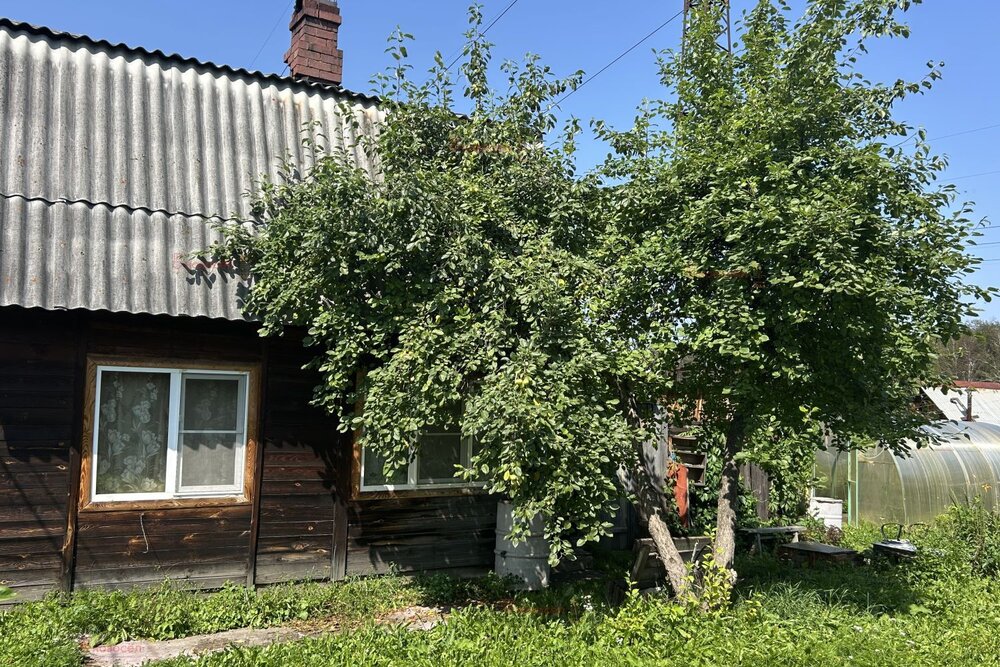 Екатеринбург, СНТ Янтарь, уч. 100 - фото сада (2)