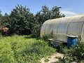 Продажа садового участка: Екатеринбург, СНТ Янтарь, уч. 100 - Фото 3