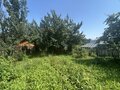 Продажа садового участка: Екатеринбург, СНТ Янтарь, уч. 100 - Фото 6