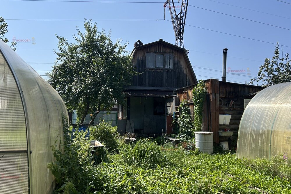 Екатеринбург, СНТ Янтарь, уч. 100 - фото сада (7)