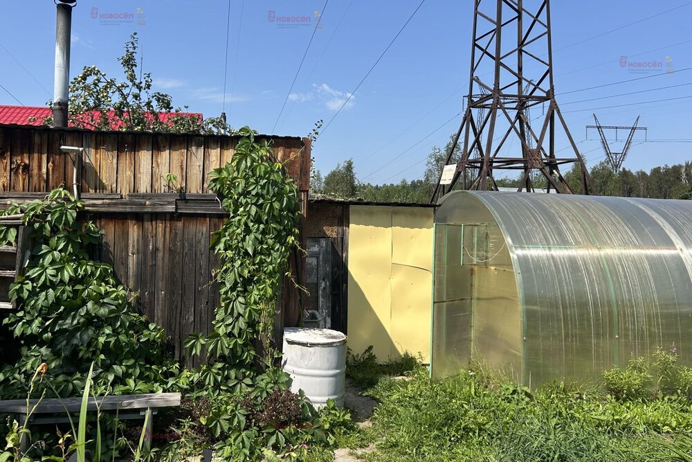 Екатеринбург, СНТ Янтарь, уч. 100 - фото сада (8)