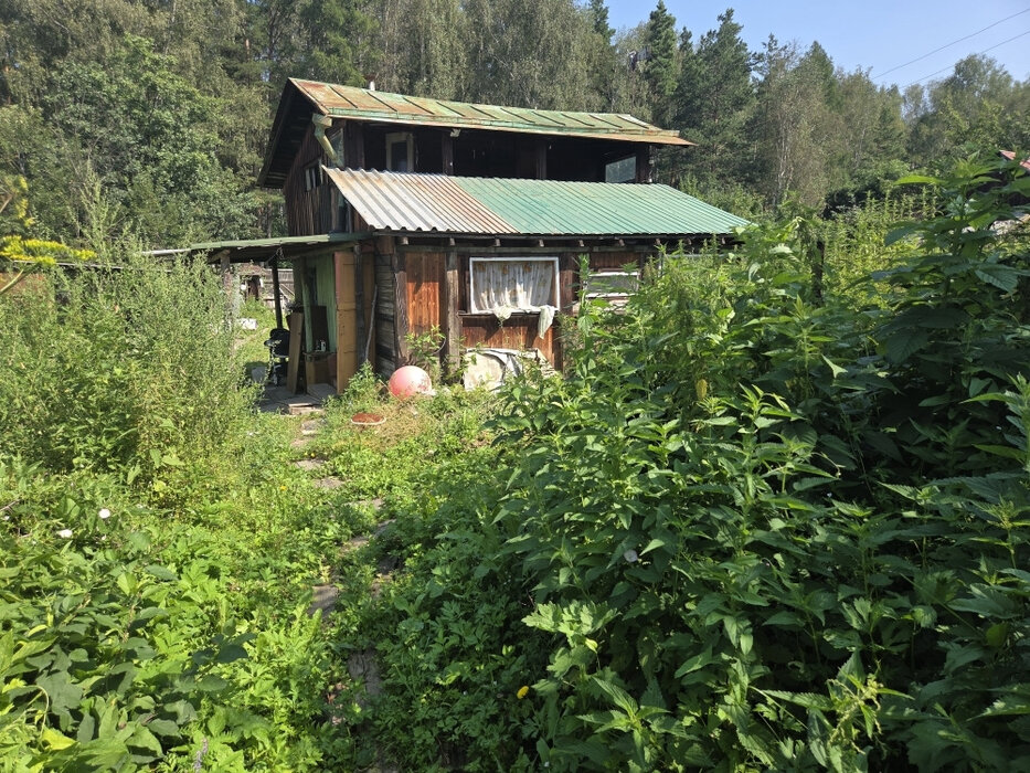 Екатеринбург, СНТ. Надежда Свердловск-Сортировочный, уч. 96 - фото сада (11)