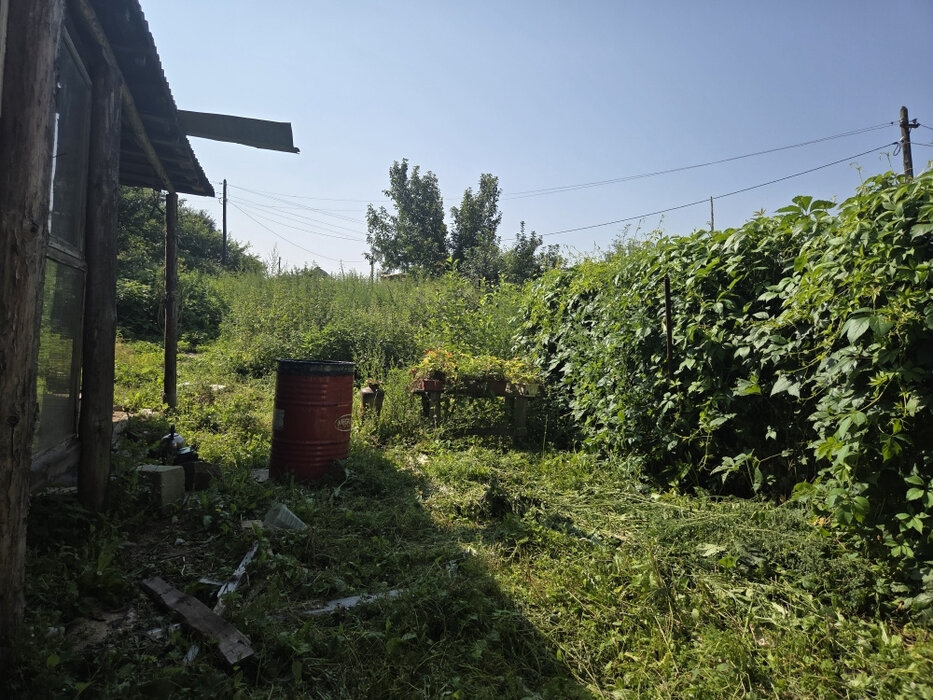 Екатеринбург, СНТ. Надежда Свердловск-Сортировочный, уч. 96 - фото сада (2)